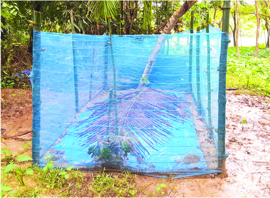 Image of মো: আতিকুল ইসলাম